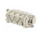 Connector: HDC | contact insert | male | DSB | PIN: 6 | 6+PE | size D16B image 6