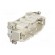 Connector: HDC | contact insert | male | DSB | PIN: 6 | 6+PE | size D16B image 8