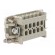 Connector: HDC | contact insert | female | C146 | PIN: 10 | 10+PE | 16A image 4