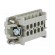 Connector: HDC | contact insert | female | C146 | PIN: 10 | 10+PE | 19A image 4