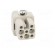 Connector: HDC | contact insert | female | C146 | PIN: 7 | size A3 image 9