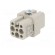 Connector: HDC | contact insert | female | C146,heavy|mate D | PIN: 8 image 2
