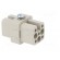 Connector: HDC | contact insert | female | C146,heavy|mate D | PIN: 8 image 8