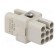 Connector: HDC | female | C146,heavy|mate D | PIN: 8 | size A3 | 16A | 42V image 8