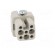 Connector: HDC | contact insert | female | C146,heavy|mate D | PIN: 8 image 9