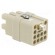Connector: HDC | contact insert | female | C146,heavy|mate Q | PIN: 13 image 4