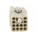 Connector: HDC | contact insert | female | C146,heavy|mate Q | PIN: 13 image 5