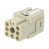 Connector: HDC | contact insert | female | C146,heavy|mate Q | PIN: 8 image 1