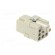 Connector: HDC | contact insert | female | C146,heavy|mate Q | PIN: 8 image 4