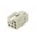 Connector: HDC | contact insert | female | C146,heavy|mate Q | PIN: 8 image 6