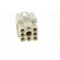 Connector: HDC | contact insert | female | C146,heavy|mate Q | PIN: 8 image 9