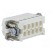 Connector: HDC | contact insert | male | C146 | PIN: 10 | 10+PE | size A10 image 4