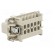 Connector: HDC | contact insert | male | C146 | PIN: 10 | 10+PE | size E10 image 4