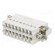 Connector: HDC | contact insert | male | C146 | PIN: 16 | 16+PE | 16A | 250V фото 6