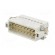 Connector: HDC | contact insert | male | C146 | PIN: 16 | 16+PE | size A16 paveikslėlis 2