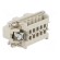 Connector: HDC | contact insert | male | C146 | PIN: 5 | 5+PE | size E10 image 4