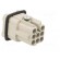Connector: HDC | contact insert | male | C146 | PIN: 7 | size A3 | 21x21mm paveikslėlis 4