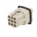 Connector: HDC | contact insert | male | C146 | PIN: 7 | size A3 | 21x21mm paveikslėlis 6