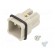 Connector: HDC | contact insert | male | C146 | PIN: 7 | size A3 | 21x21mm image 1
