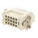 Connector: HDC | contact insert | male | C146,heavy|mate D | PIN: 15 image 6