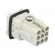 Connector: HDC | male | C146,heavy|mate D | PIN: 8 | size A3 | 16A | 42V image 4