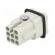 Connector: HDC | male | C146,heavy|mate D | PIN: 8 | size A3 | 16A | 42V image 6