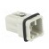 Connector: HDC | male | C146,heavy|mate D | PIN: 8 | size A3 | 16A | 42V image 8