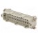 Connector: HDC | contact insert | male | C146,heavy|mate E | PIN: 24 paveikslėlis 1