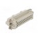 Connector: HDC | contact insert | male | C146,heavy|mate E | PIN: 24 paveikslėlis 4