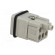 Connector: HDC | contact insert | male | C146,heavy|mate Q | PIN: 6 image 4