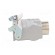Enclosure: for HDC connectors | C146 | size A10 | for cable | high image 3