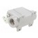 Enclosure: for HDC connectors | C146 | size A10 | with latch | M20 image 4