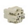 Connector: HDC | contact insert | female | Han® A | PIN: 4 | 3+PE | 10A image 4