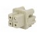 Connector: HDC | contact insert | female | Han® A | PIN: 4 | 3+PE | 10A image 2