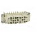 Connector: HDC | contact insert | female | Han® D | PIN: 25 | 25+PE | 10A image 9