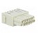 Connector: HDC | module | female | Han-Modular® | PIN: 12 | 10A | 250V image 8