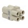 Connector: HDC | contact insert | female | Han Q | PIN: 4 | size 3A | 40A image 4