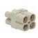 Connector: HDC | contact insert | female | Han Q | PIN: 4 | size 3A | 40A image 8