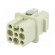Connector: HDC | contact insert | female | Han® D | PIN: 8 | 7+PE | 10A image 1