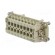 Connector: rectangular | female | Han Ex | PIN: 16 | 16+PE | size 16B image 6