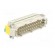 Connector: HDC | contact insert | male | Han® ES | PIN: 24 | 24+PE | 16A image 8