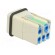 Connector: HAN | male | Quick Lock | PIN: 6 | 5+PE | size 3A | 16A | 400V paveikslėlis 4