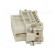 Connector: HAN | female | Han A | PIN: 10 | 10+PE | size 10A | 16A | 250V image 3