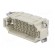 Connector: HDC | contact insert | male | Han® EE | PIN: 32 | 32+PE | 16A image 2