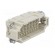 Connector: HDC | contact insert | male | Han® EE | PIN: 32 | 32+PE | 16A image 8