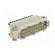 Connector: HDC | contact insert | male | Han® ES Press | PIN: 24 | 24+PE image 8