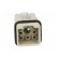 Connector: HDC | contact insert | male | Han Q | PIN: 8 | 7+PE | size 3A image 9