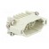 Connector: HDC | contact insert | male | Han® D | PIN: 15 | 15+PE | 10A image 8