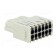 Connector: HDC | module | female | Han-Modular® | PIN: 12 | 10A | 250V image 4