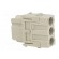 Connector: HDC | module | female | Han-Modular® | PIN: 3 | 40A | 690V image 4